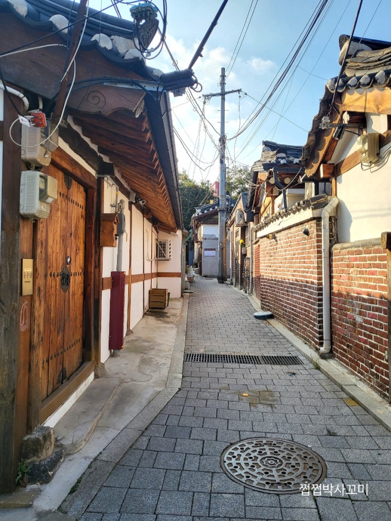 동우당바이버틀러리 이미지