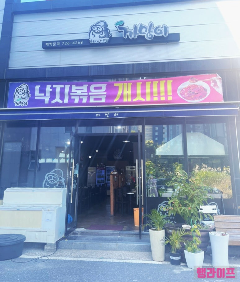 제주까망이 이미지