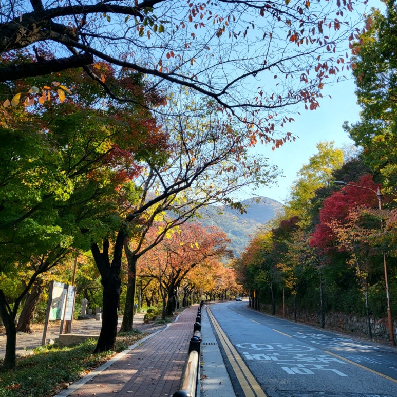 로스트볼 마켓 이미지