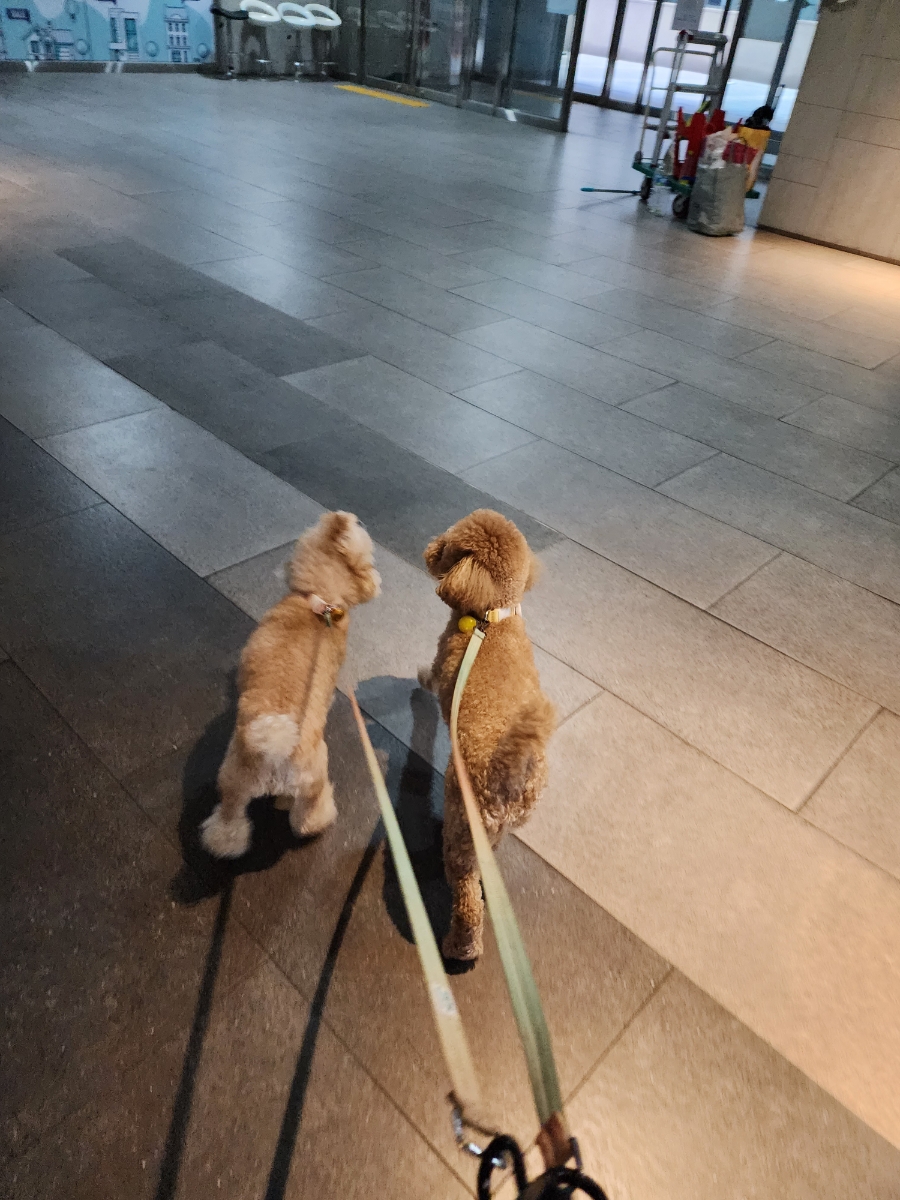 펫홀릭더라이프 이미지
