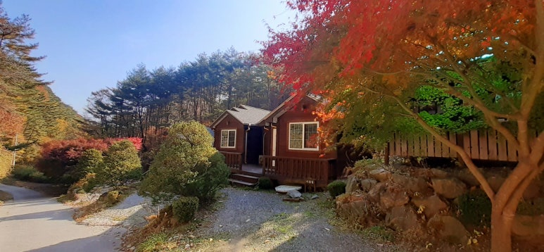 정선펜션1박2일 이미지