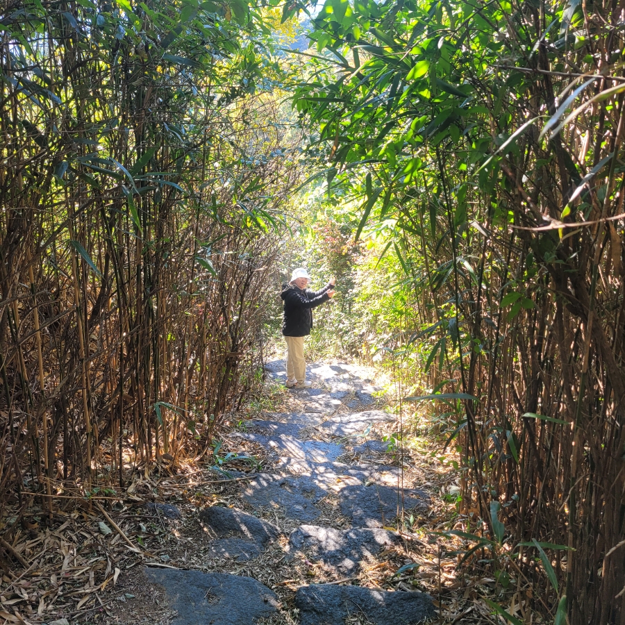 산촌2민박 이미지