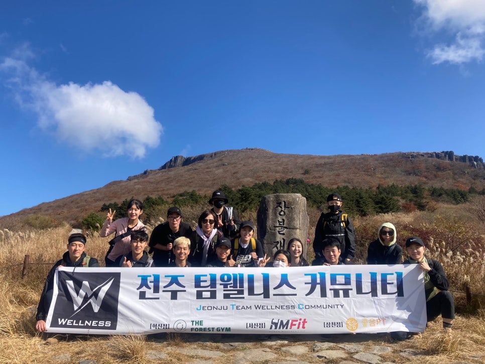 팀웰니스 이미지