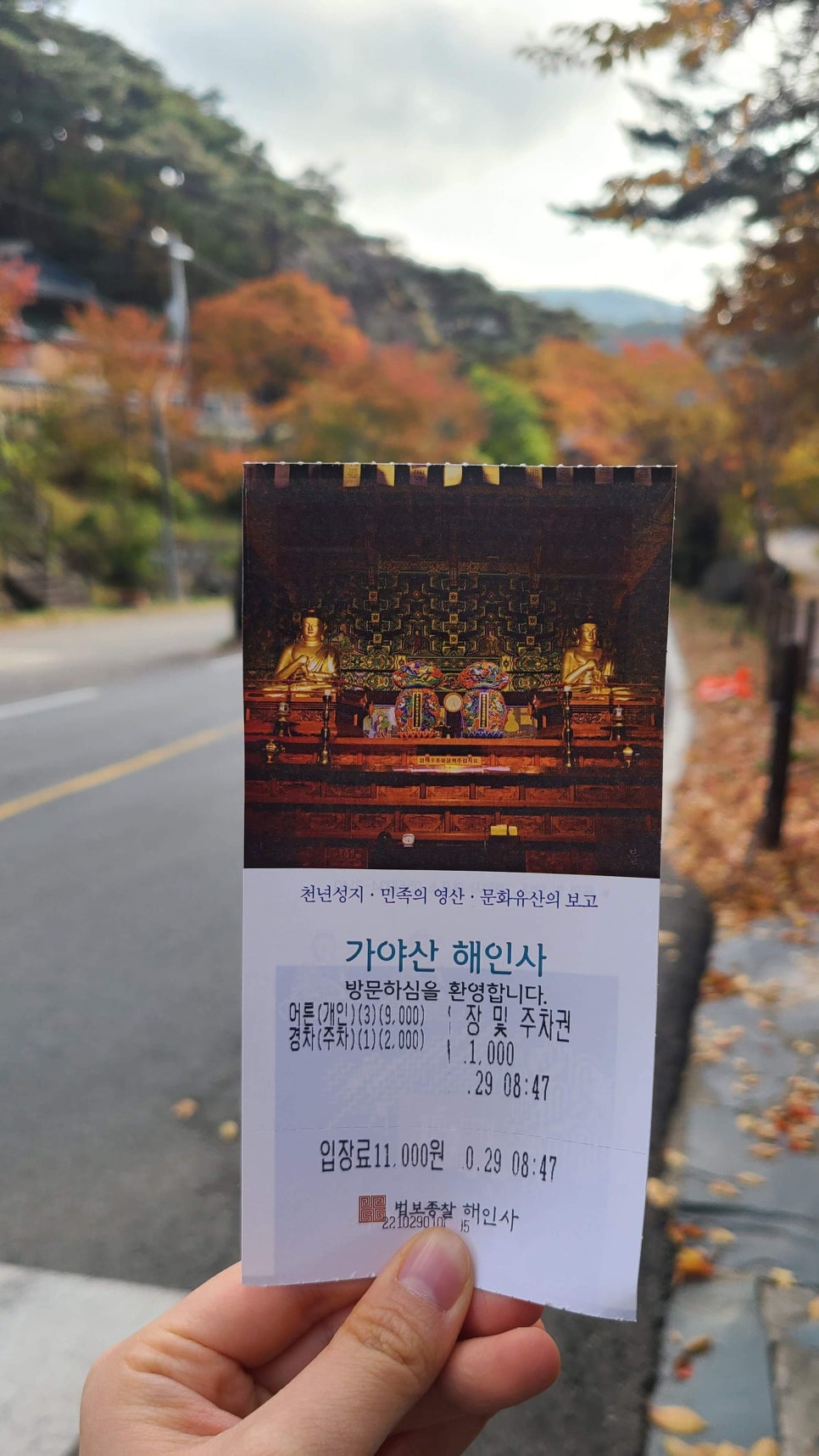 성보지점 이미지
