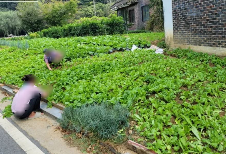 카페산책 이미지