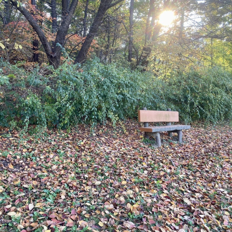 안산대학교(기숙사예지관) 이미지
