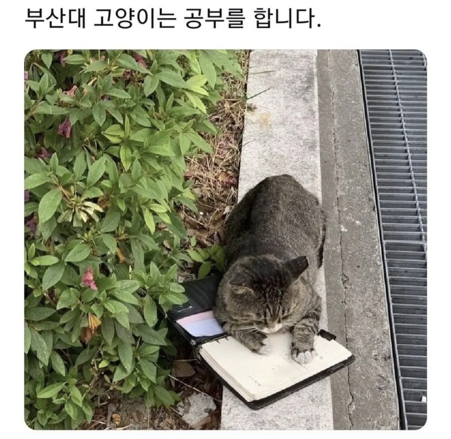 경원치킨 이미지