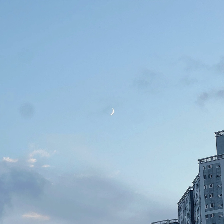 블루문디자인랩 이미지