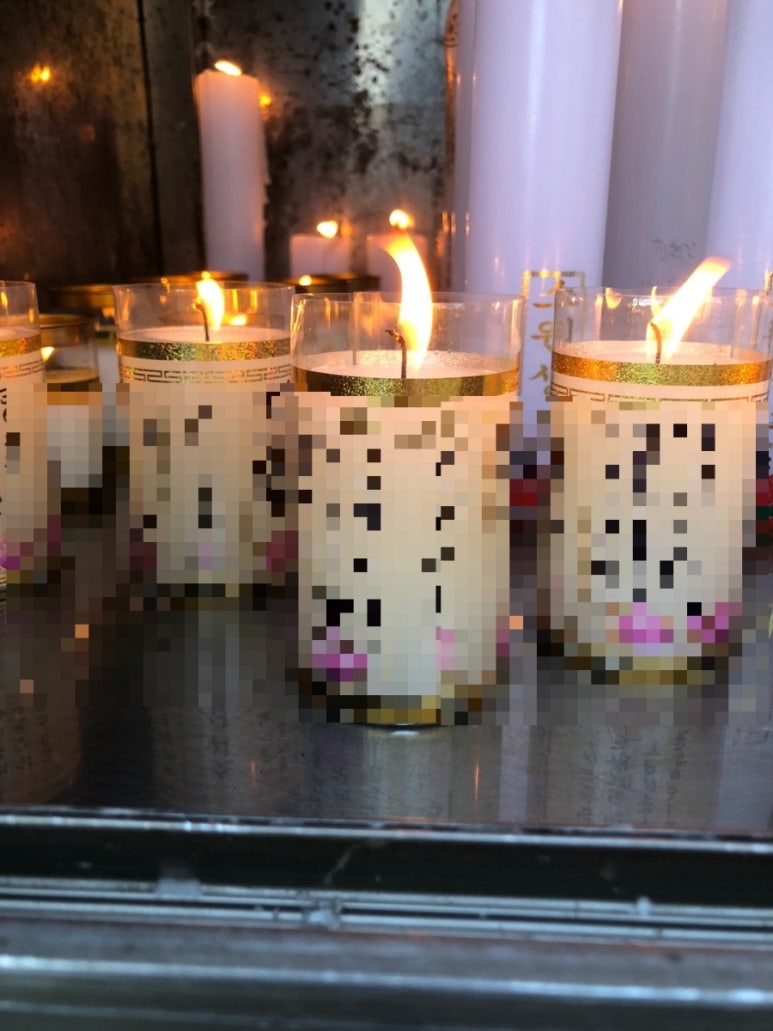 대관령톡톡 이미지