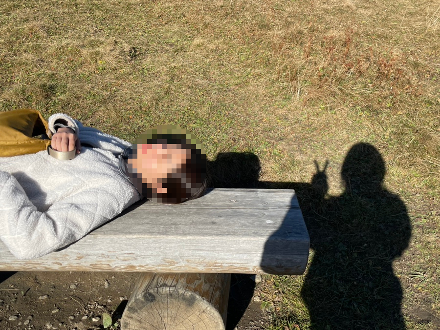 브이카강 이미지