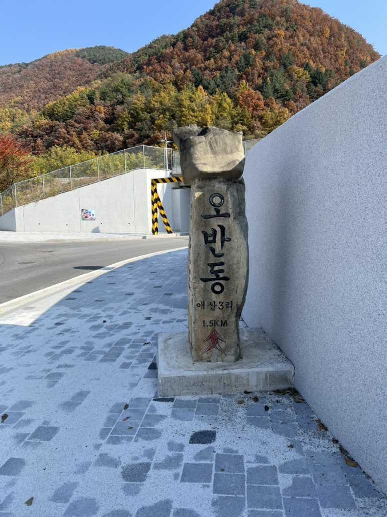 엔제리너스 정선농협점 이미지