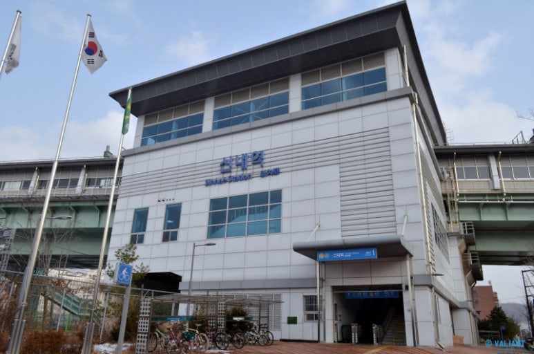 커피에진심 이미지