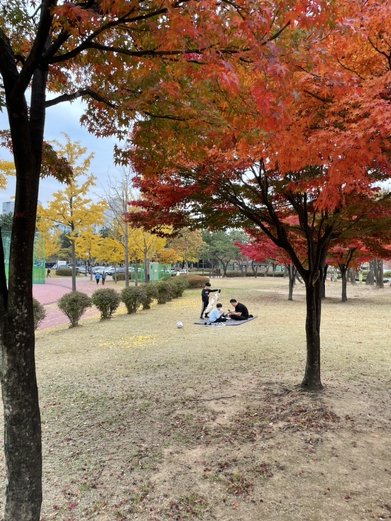 네네치킨배곧점 이미지