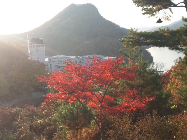 대부천성 이미지