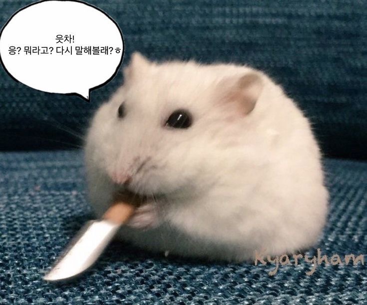 태세전환 이미지