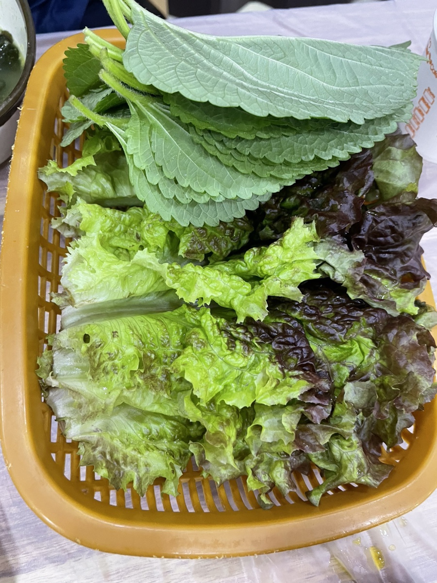 흰고래참가자미횟집 이미지