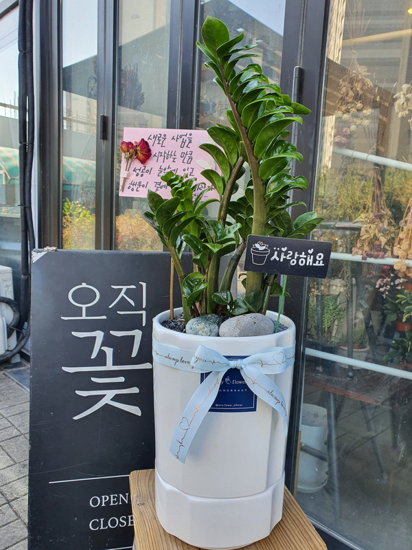 갈매꽃집 이미지