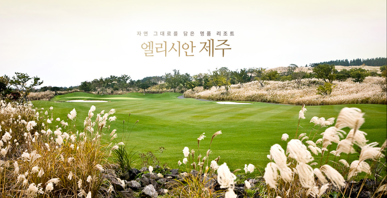 딜리버리 제주 이미지