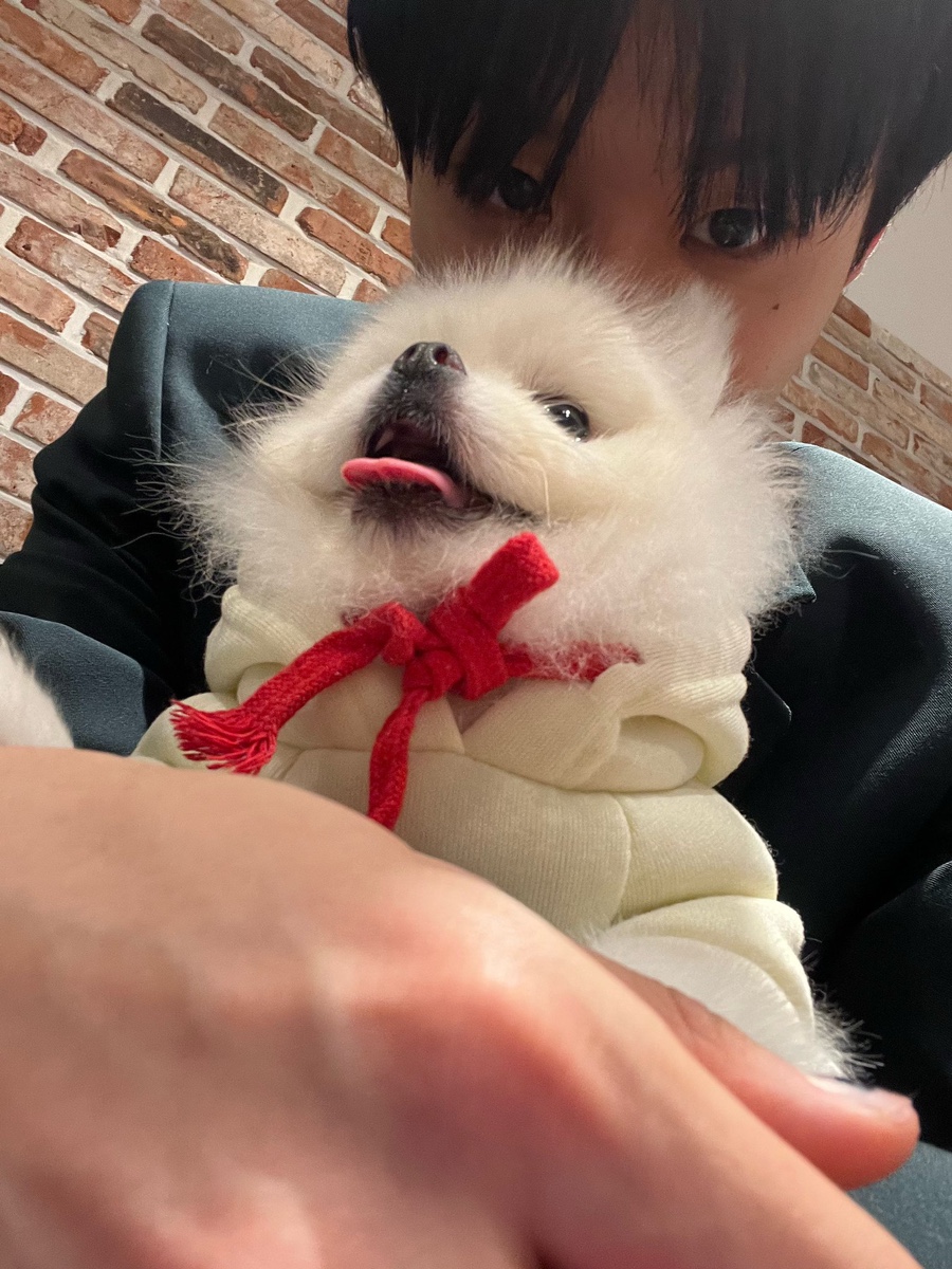 고멘 이미지