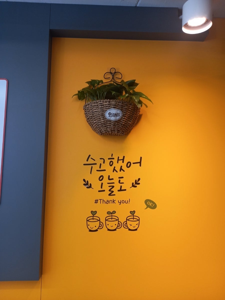 에코런드렛셀프빨래방&아이스크림수원 이미지