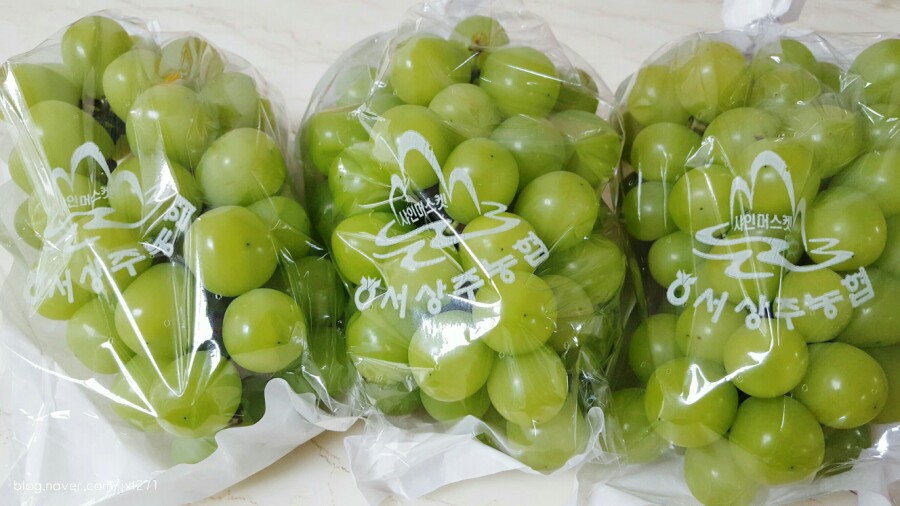 백화협동조합 이미지