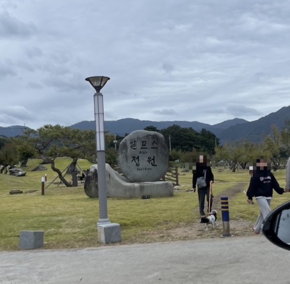 궁다방 이미지