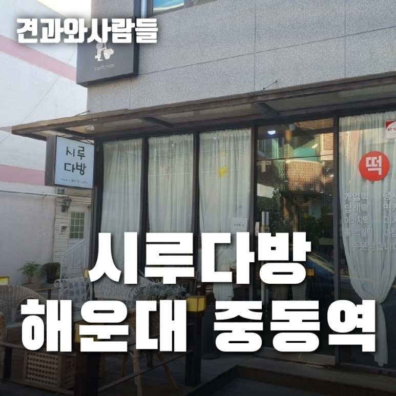 시루다방 이미지