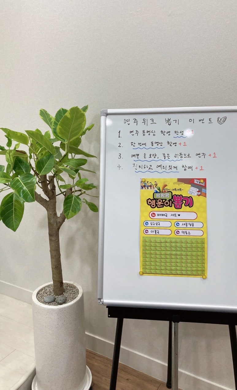 아이숲음악학원 이미지