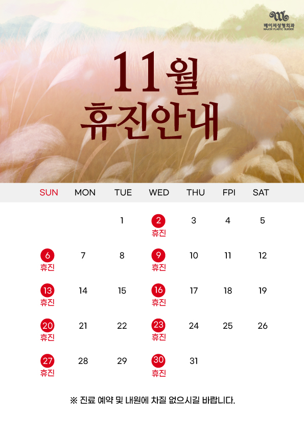 메이저성형외과 이미지