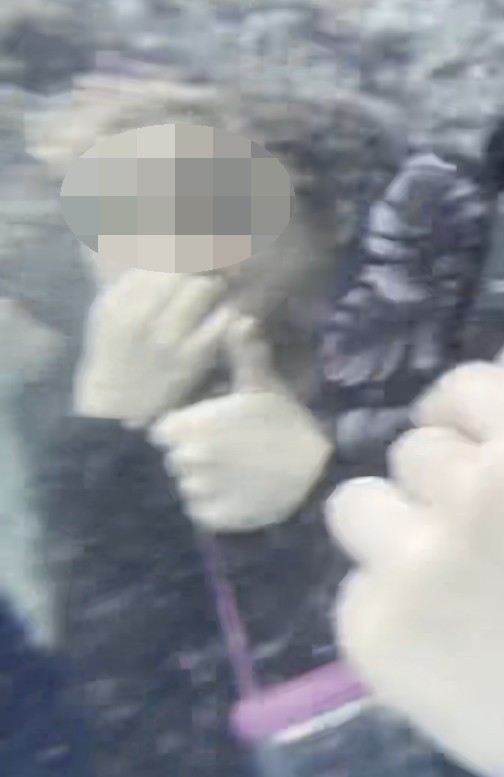 킹덤노래타운 이미지