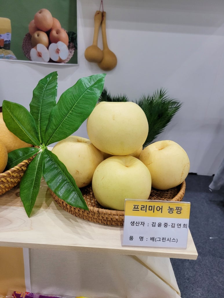 프리미어 농짱 이미지