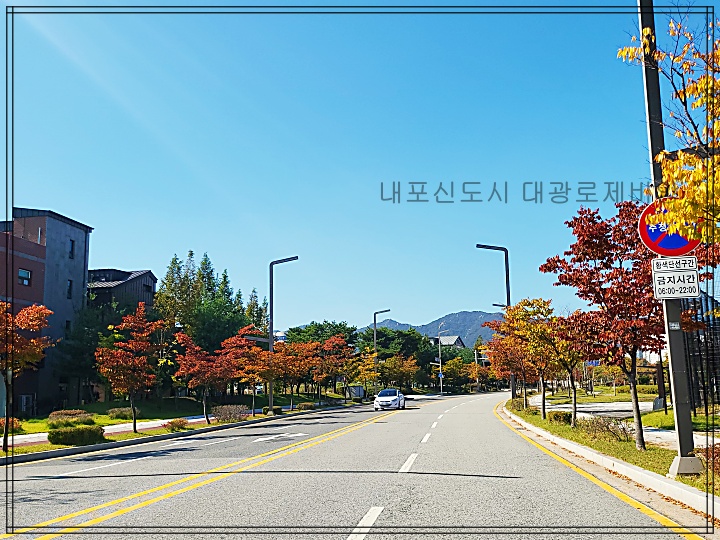 대광기획 이미지