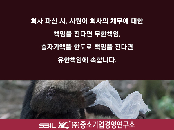 농업회사법인 유한회사 보고 이미지