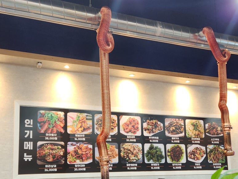 숙미고양 이미지