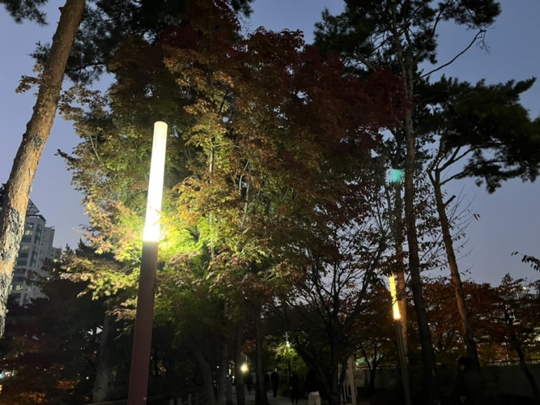지윤육회연어 이미지