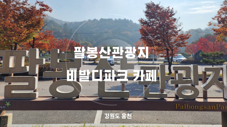 더오딘베이커리카페 이미지