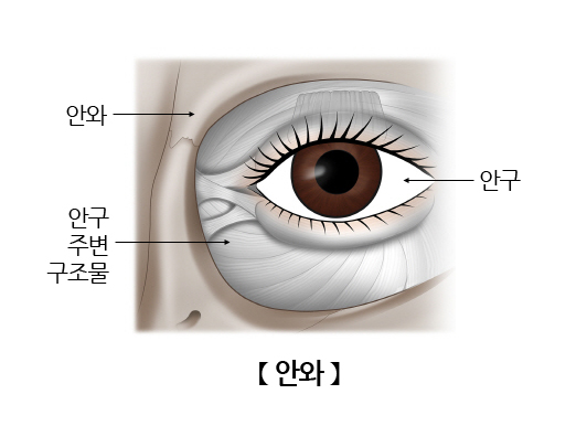 사바아사나 이미지