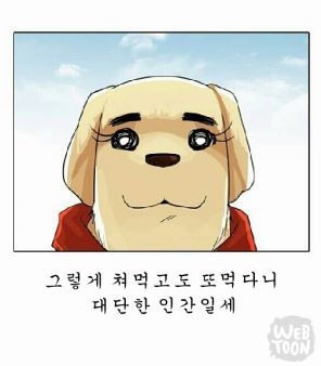 삼척꽈배기 이미지