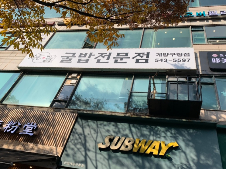 아리굴 이미지