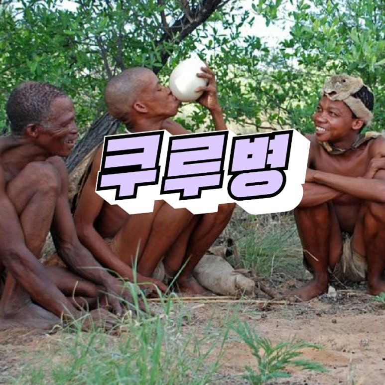 지가스 이미지