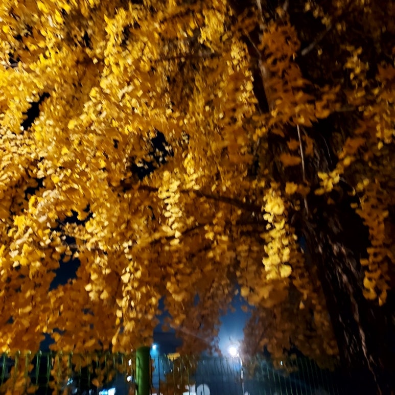 윤군타운 이미지