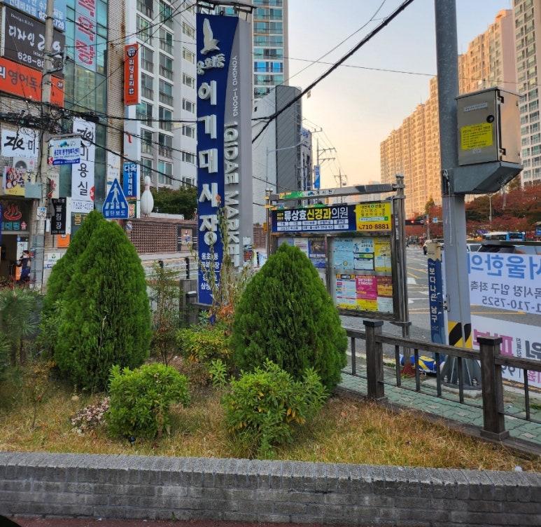 용호메트로마취통증의학과의원 이미지