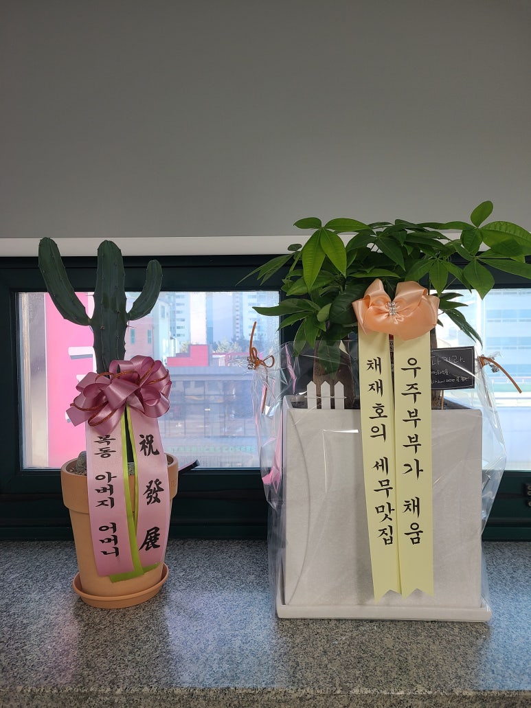 채움세무회계 이미지