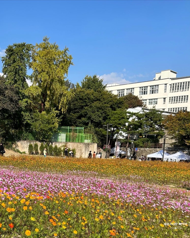 시와선 이미지