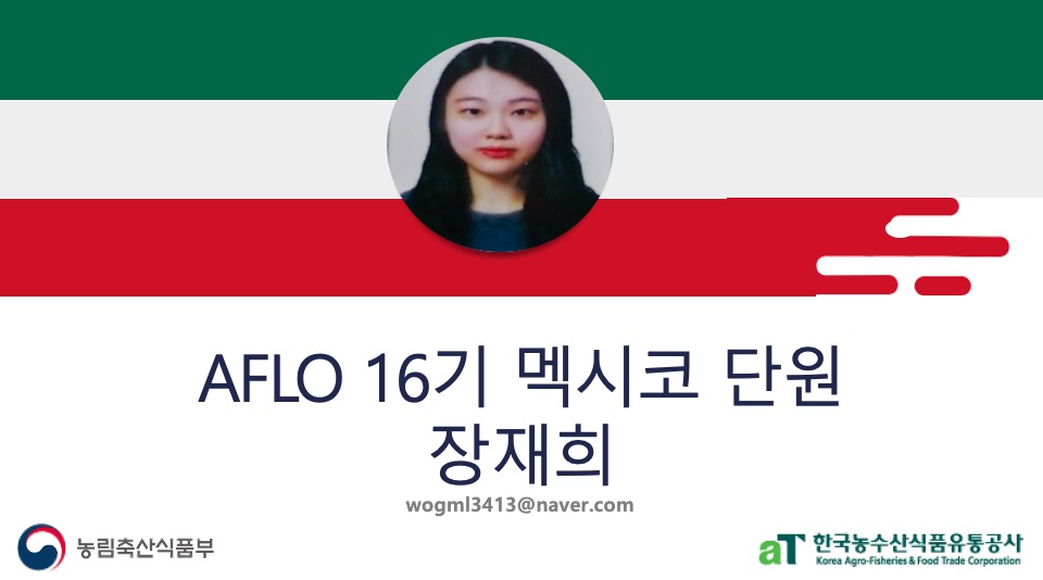 지오엔 이미지
