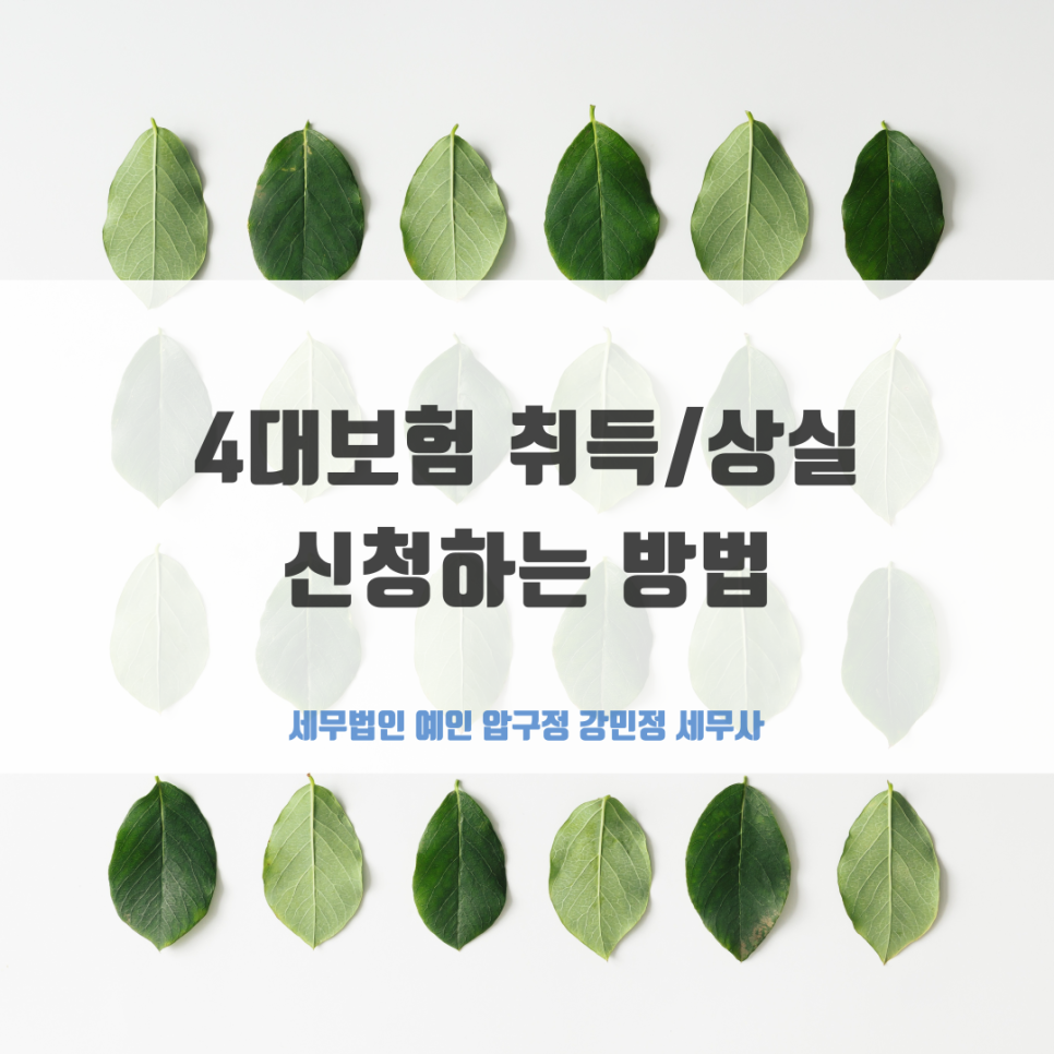 세무법인예인압구정 이미지