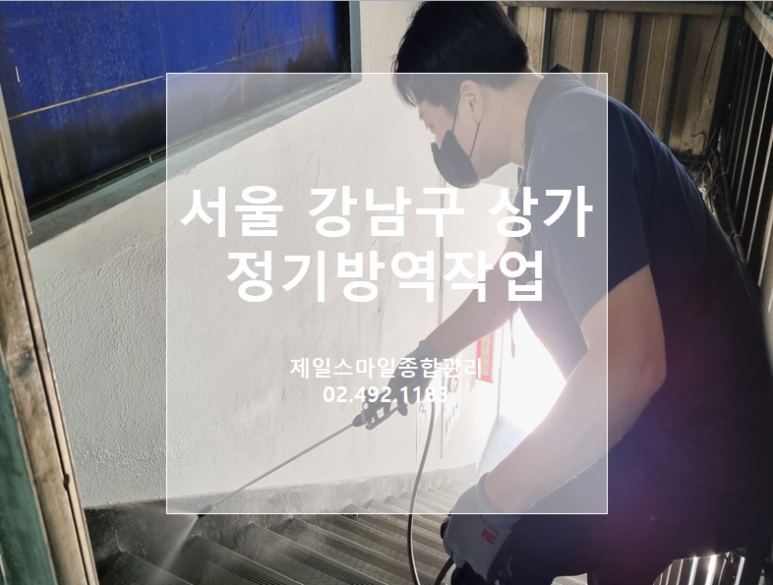 스마일청소방역 이미지