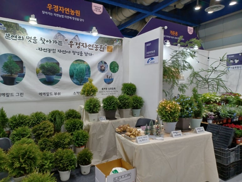 가락동농산물 이미지