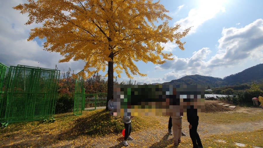 춤새마을 이미지