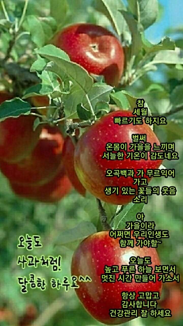 동그라미 이미지
